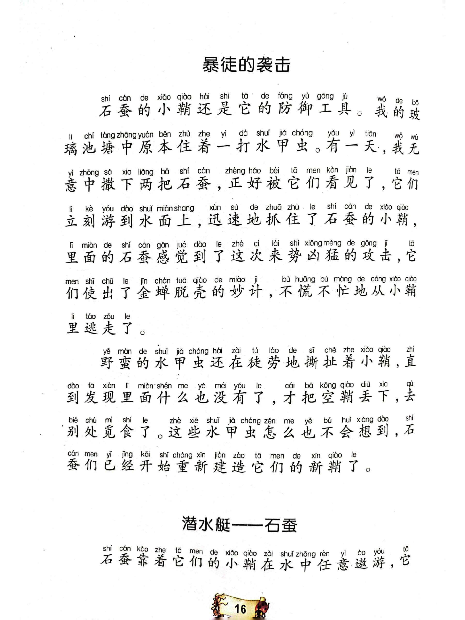 昆虫记——石蚕