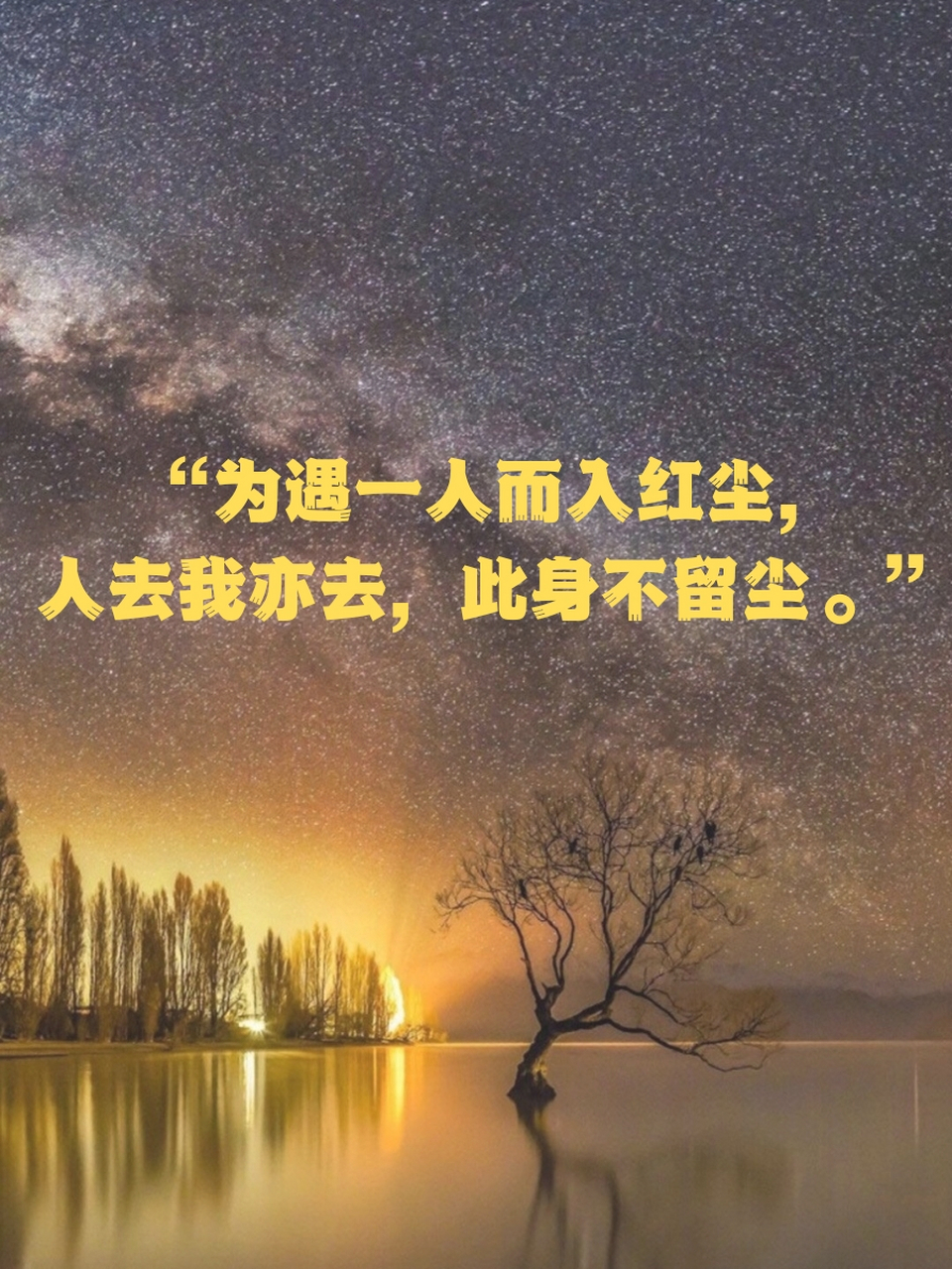 晓星尘语录图片