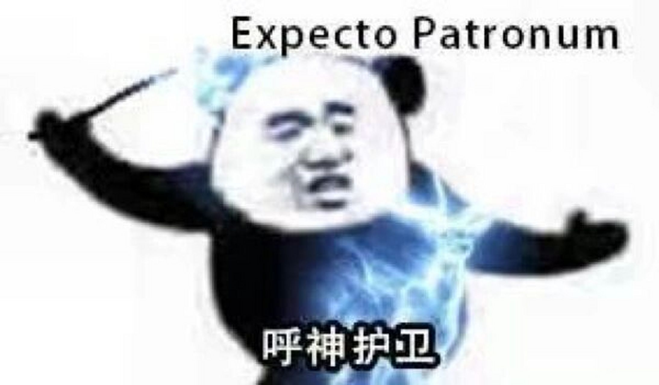 哈利波特咒语及中文读音(1) 【不可饶恕咒】 阿瓦达索命(索命咒)avada