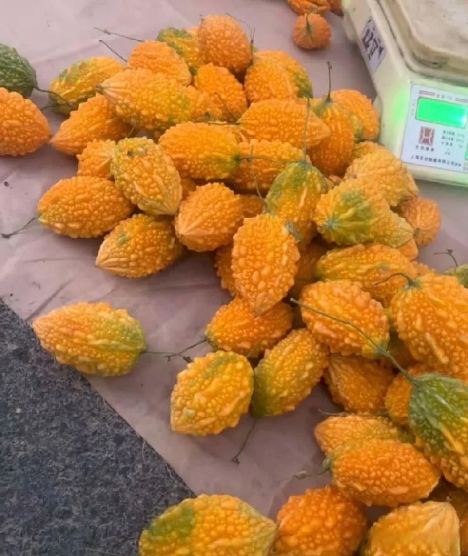 是吃黄色部分还是里面的红色部分呀,怎么外皮和苦瓜有点类似呀,不会是