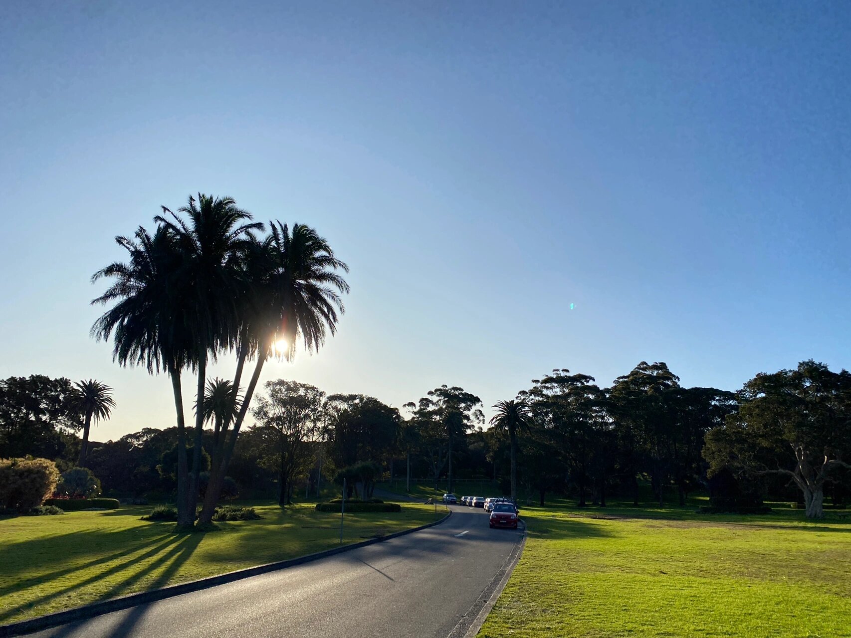 没想到悉尼也有遮阳蓬款的双人自行车 centennial park 租赁自行车