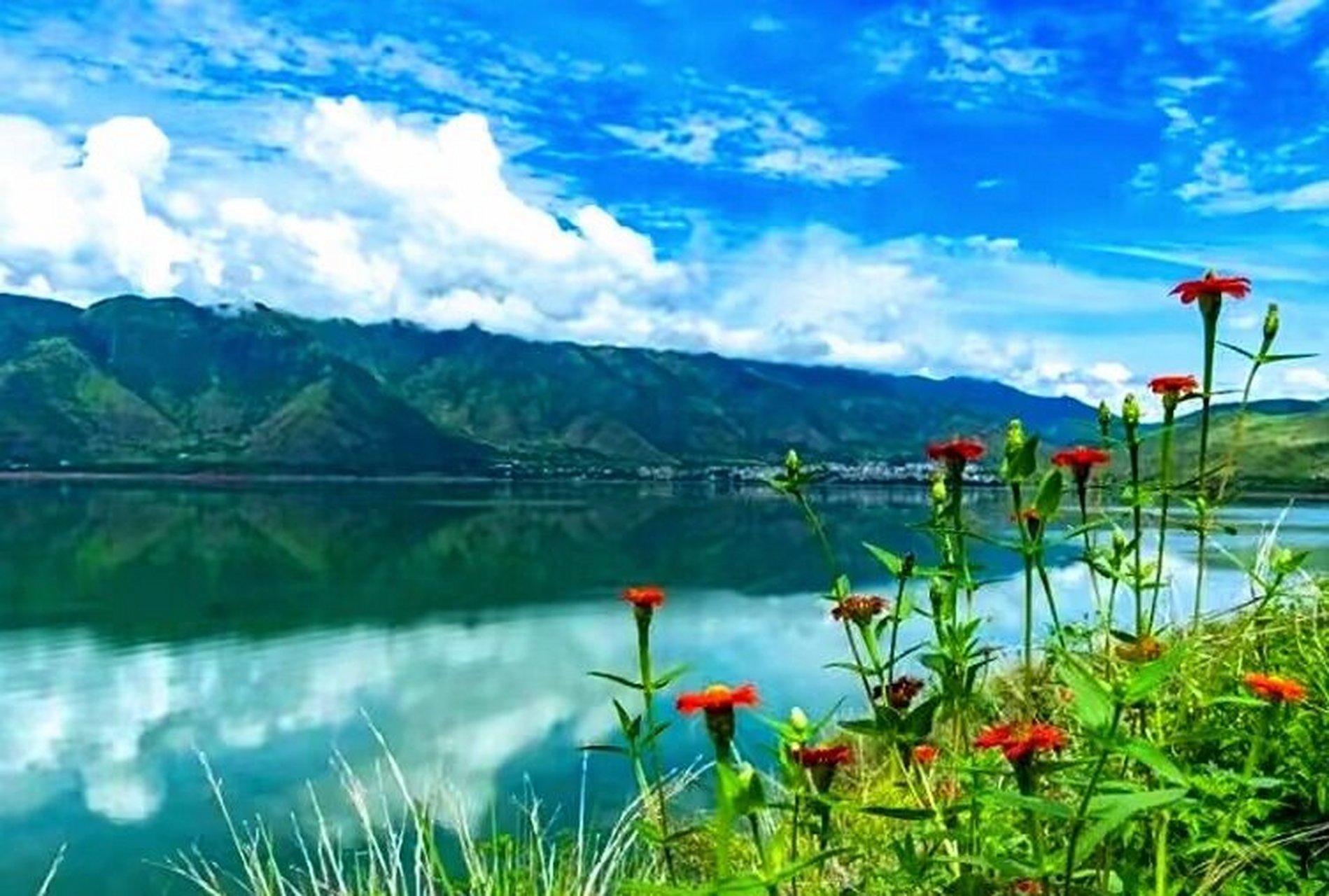 国家最适合旅游的地方——丽江程海 丽江程海,位于云南省丽江市区以南