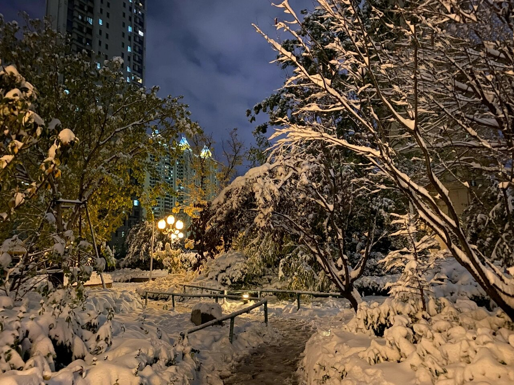 晚上下大雪的图片实景图片