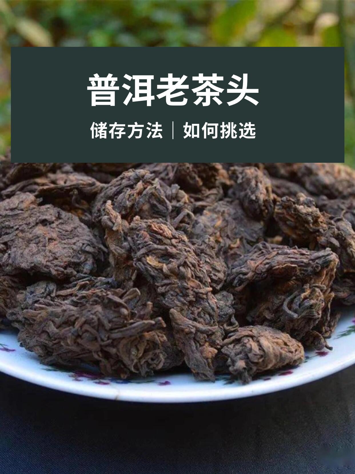 普洱茶老茶头,探寻茶界瑰宝!