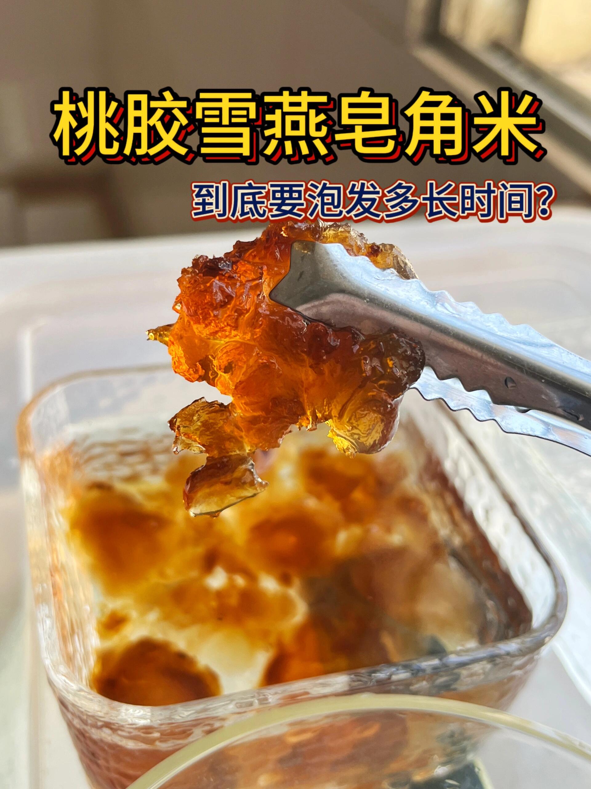 桃胶雪燕皂角米到底要泡多久啊7171 桃胶的颗粒大小都不一致,泡发