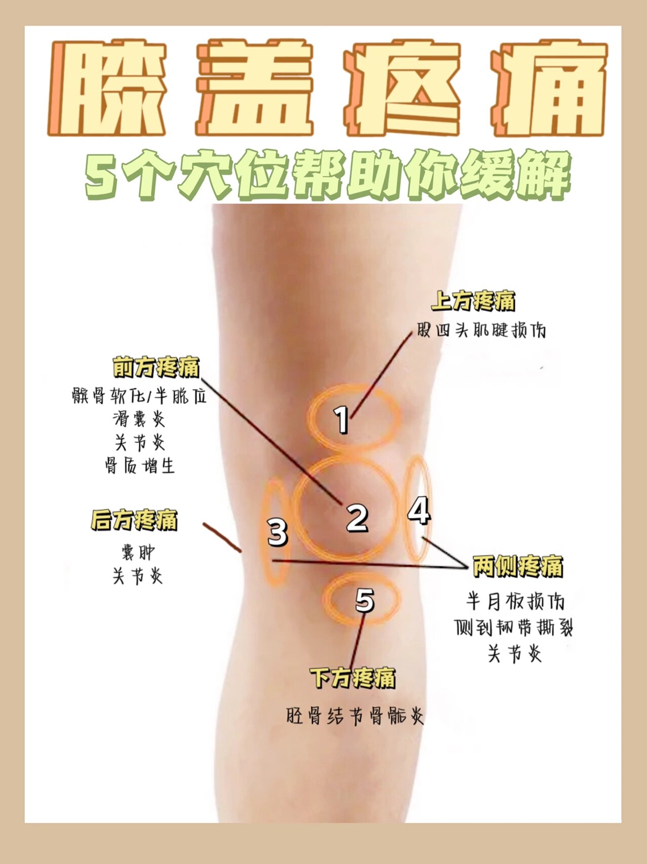 外膝眼主治图片