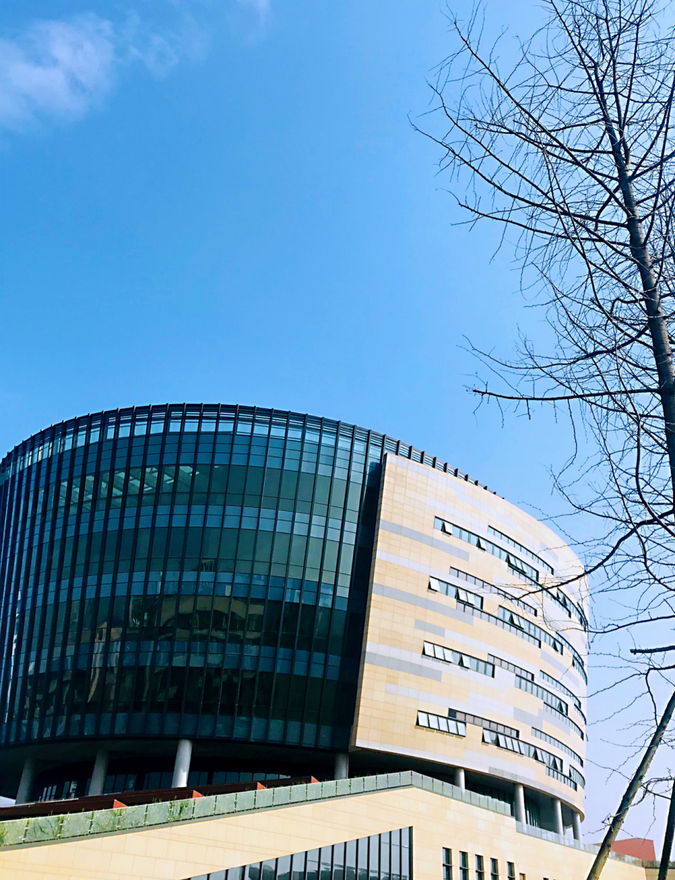 打卡四川城市职业学院 2021年打卡『四川城市职业学院眉山校区,成都