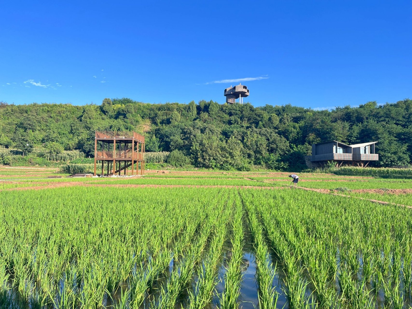 蓝田玉山风景区图片