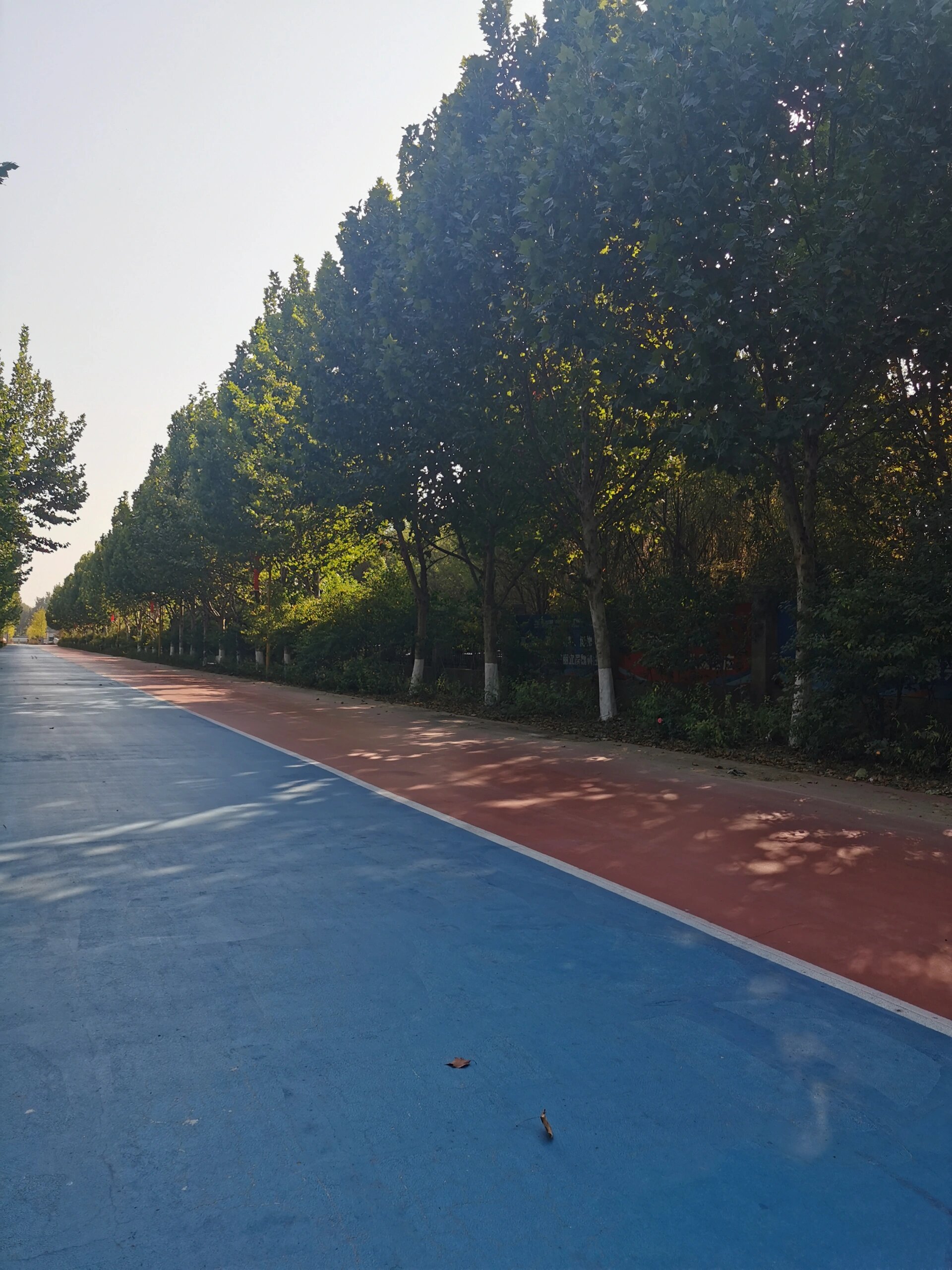 北京大兴农场寻搭子 坐标北京大兴魏庄村 总面积380亩 封闭式院子 有