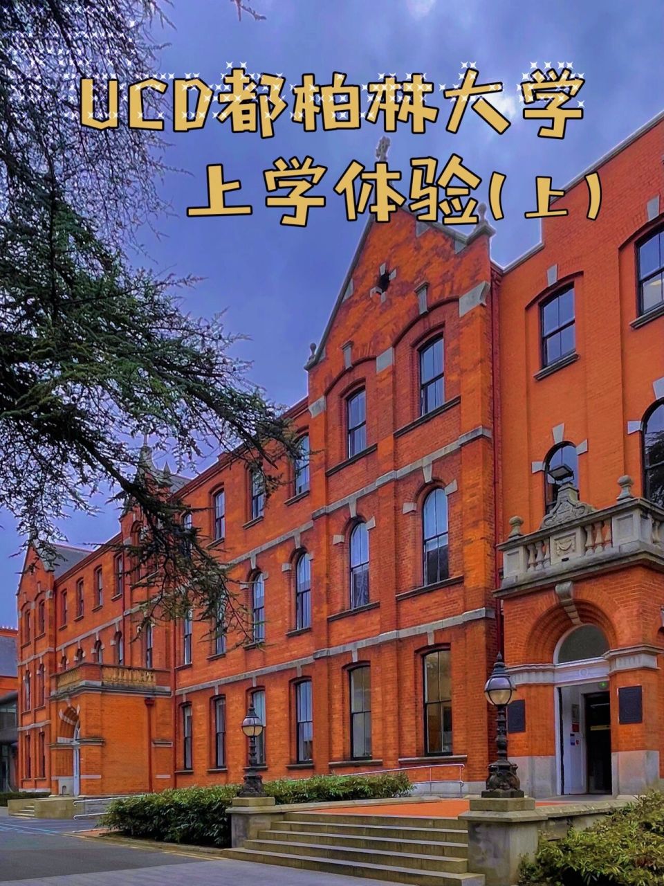 爱尔兰留学9490|在ucd都柏林大学上学 97目前我是在爱尔兰的
