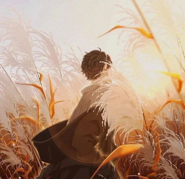 秋意微凉不露脸背影动漫男生头像