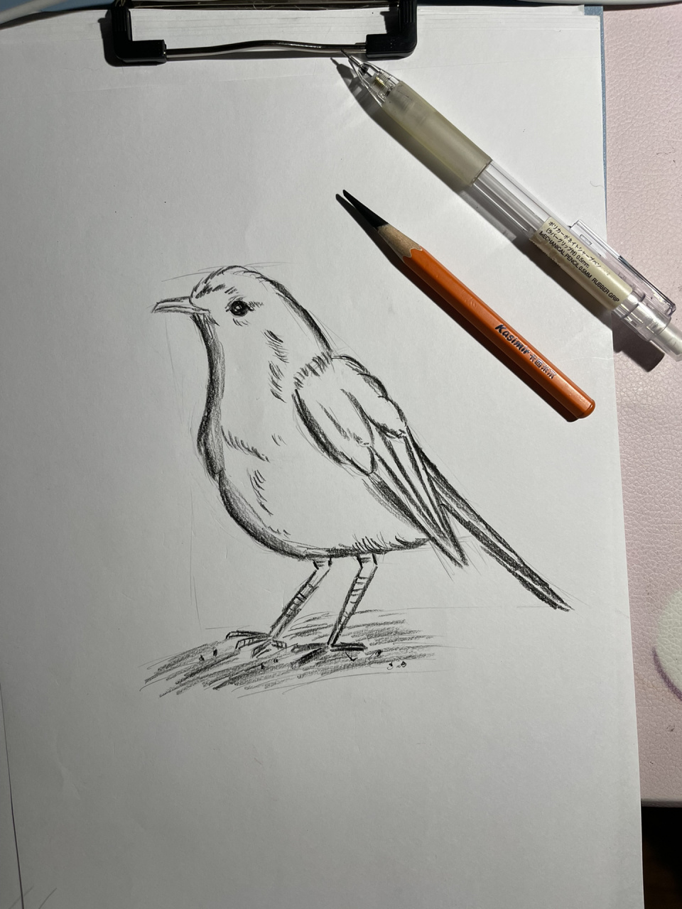 小鸟画法(内有详细步骤,超简单) 临摹的 的速写,并拆解了步骤.