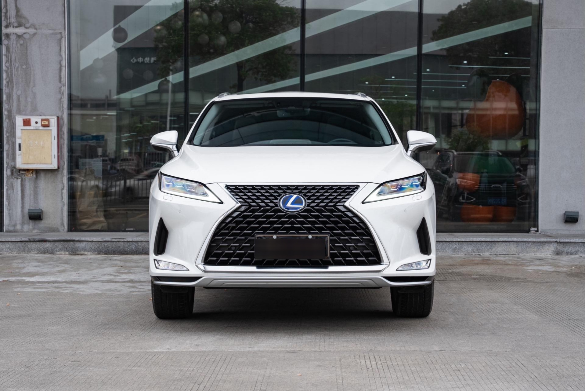 2020款 改款 雷克萨斯rx  450h 四驱典雅版 2022年5月上牌,1.