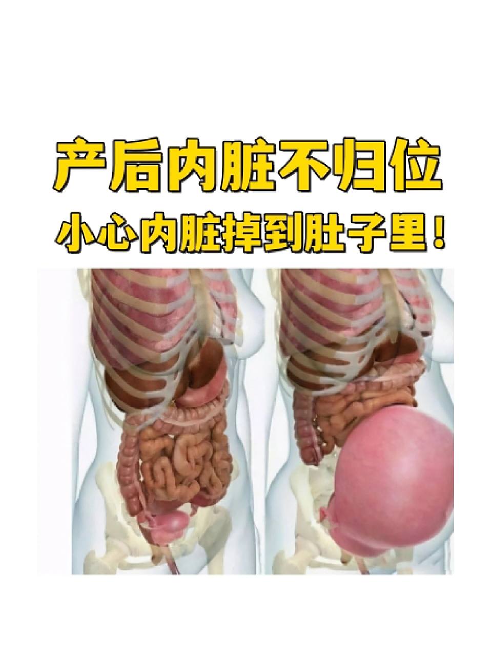 宝妈在孕期随着胎儿的不断长大,内脏都会受挤压,使妈妈的脾胃肝等脏腑