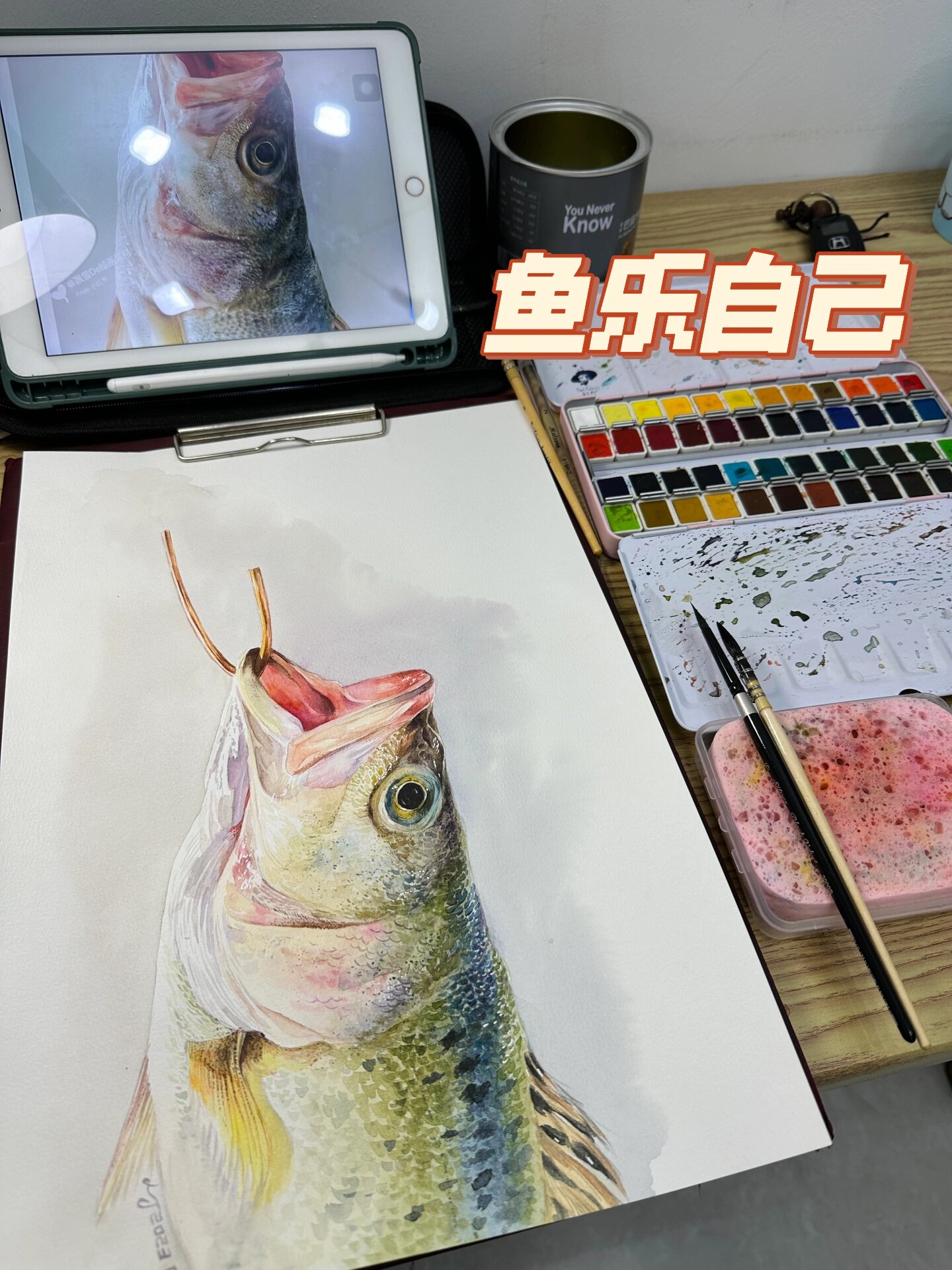 鱼 水彩 含步骤