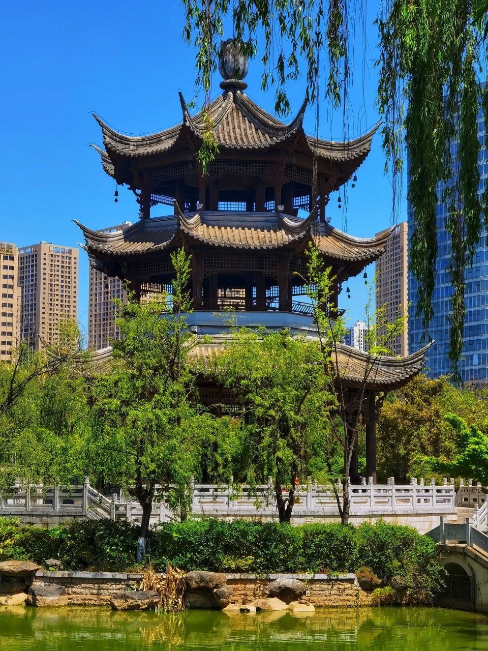 昆明莲花池公园—见证一段历史兴亡 92名称:昆明莲花池公园 99