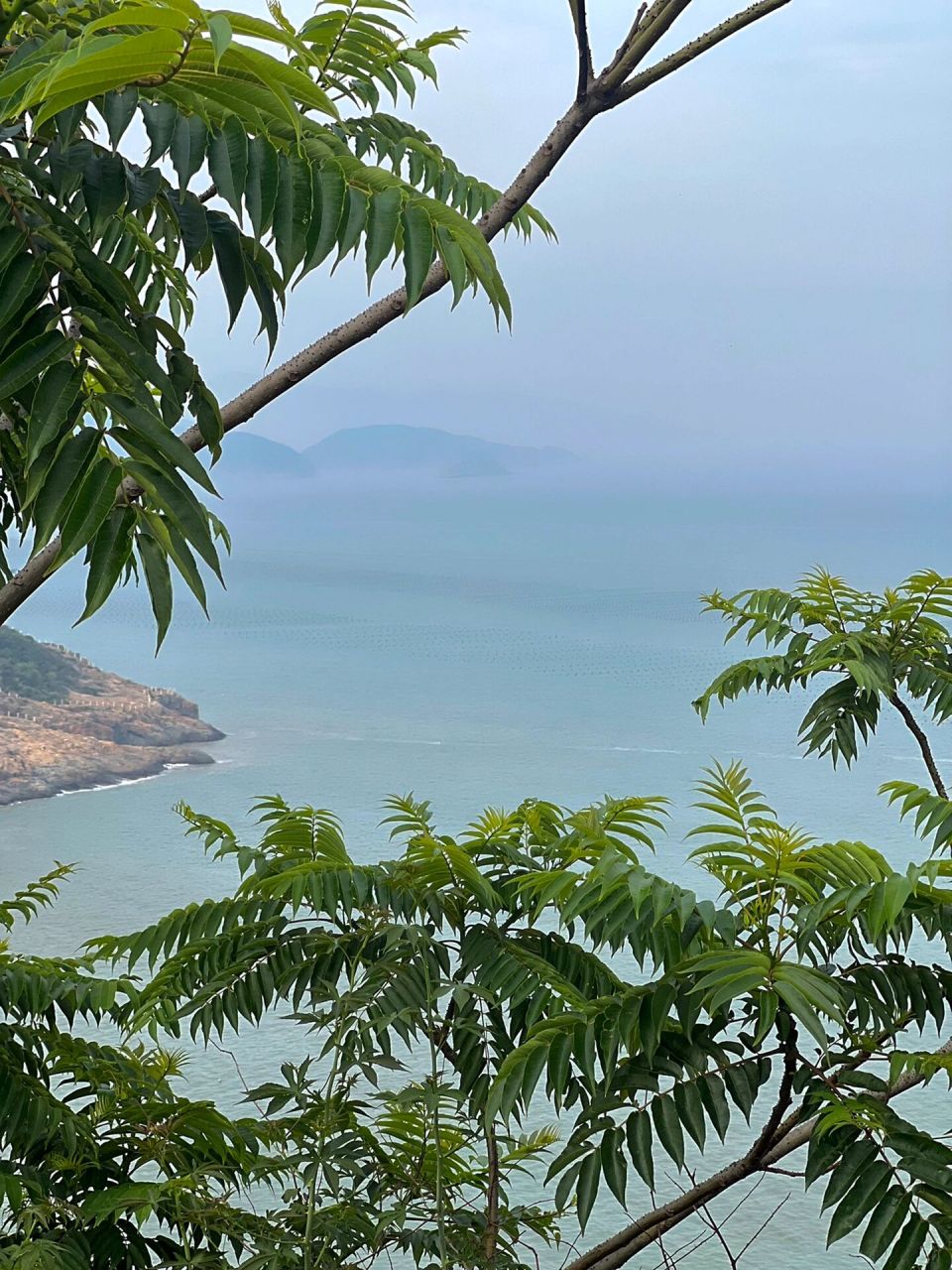 追蓝眼泪之苍南渔寮|一日游攻略来啦 因为看到蓝眼泪 所以连夜开车2