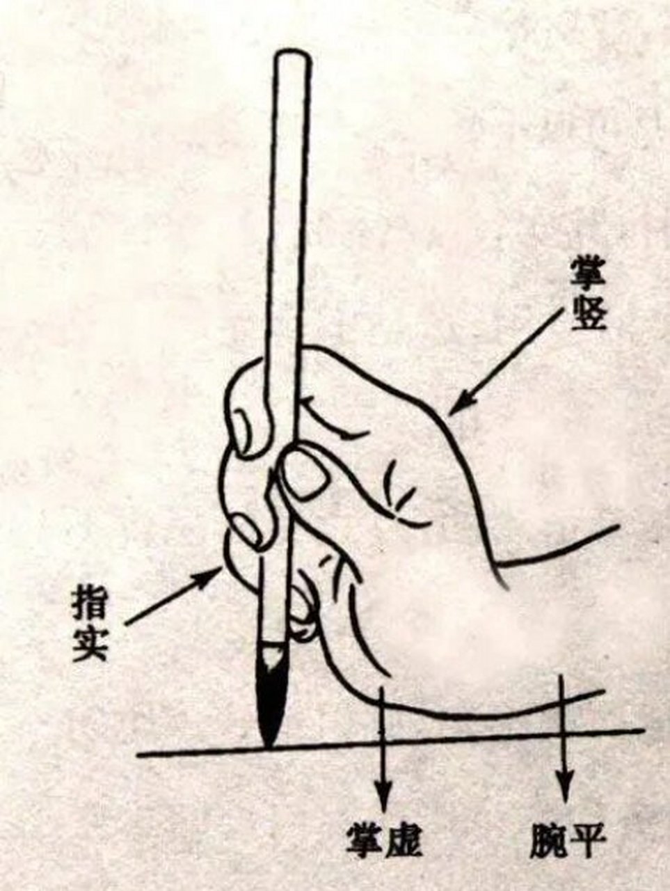 毛笔的常用握笔方法(最后一张是小楷握笔法) 执笔无定法,要使虚而宽.