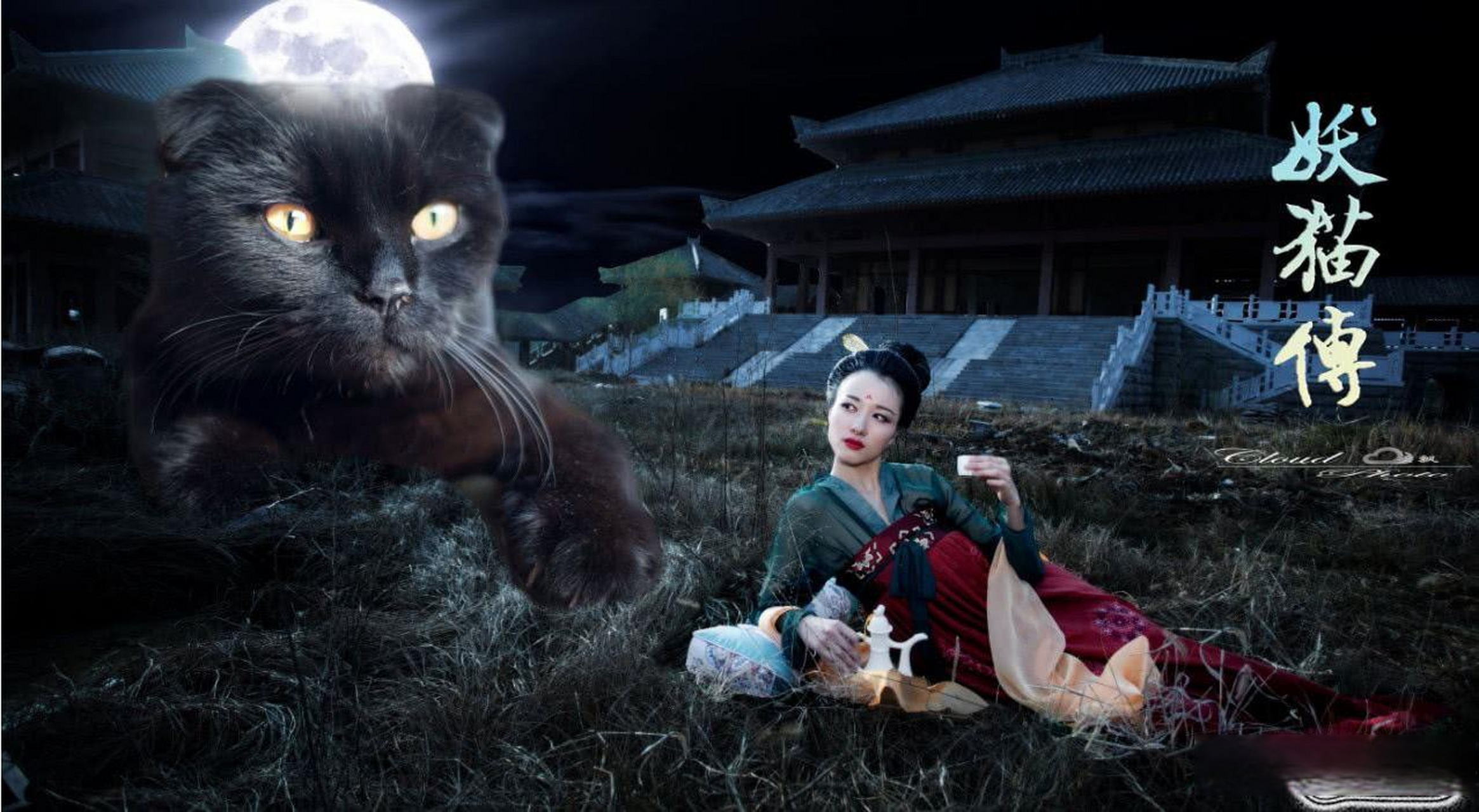 今天逛公园,偶遇一黑猫,恍如妖猫传里的黑猫附体,真把我吓坏了,那眼神