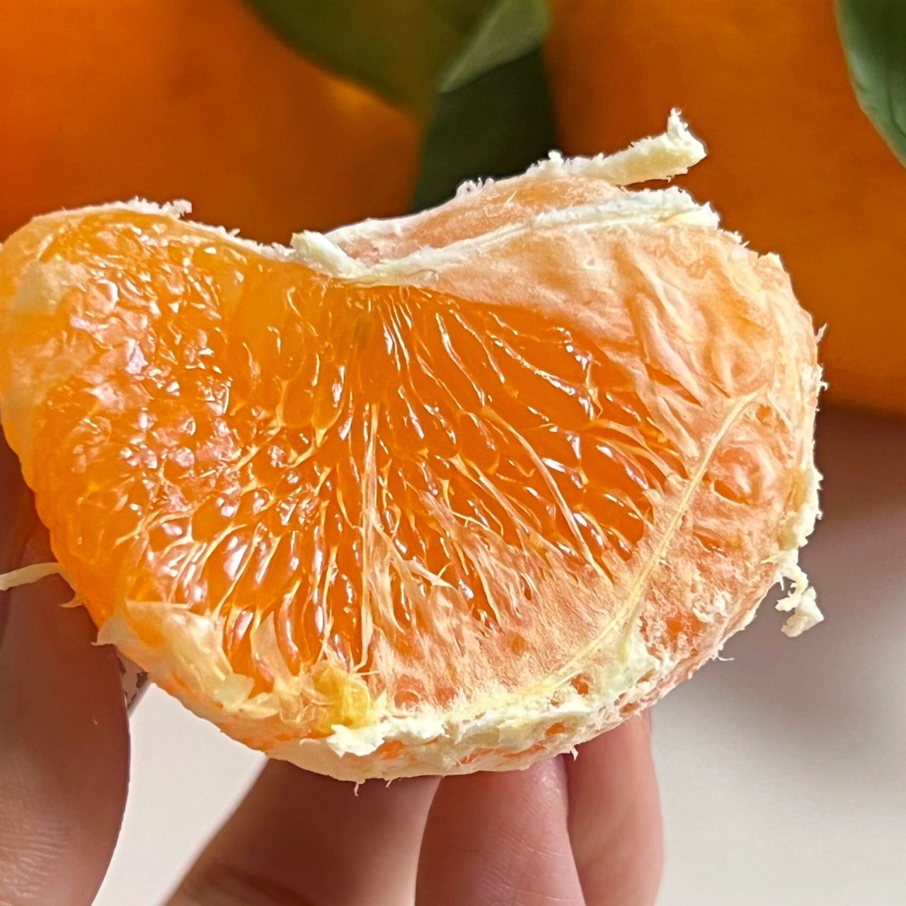 目前心中排前三的高端柑橘92 爱媛43,又名黄公主,相思醉美人.