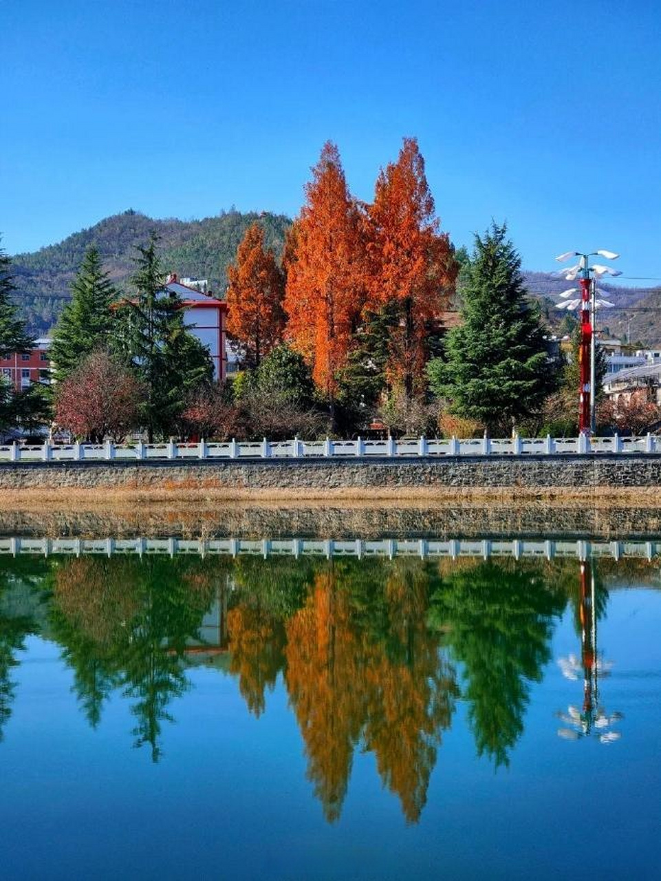 的冬天来了,迈着轻盈的步履款款而行】两当的初冬既是一帧帧暖心画面