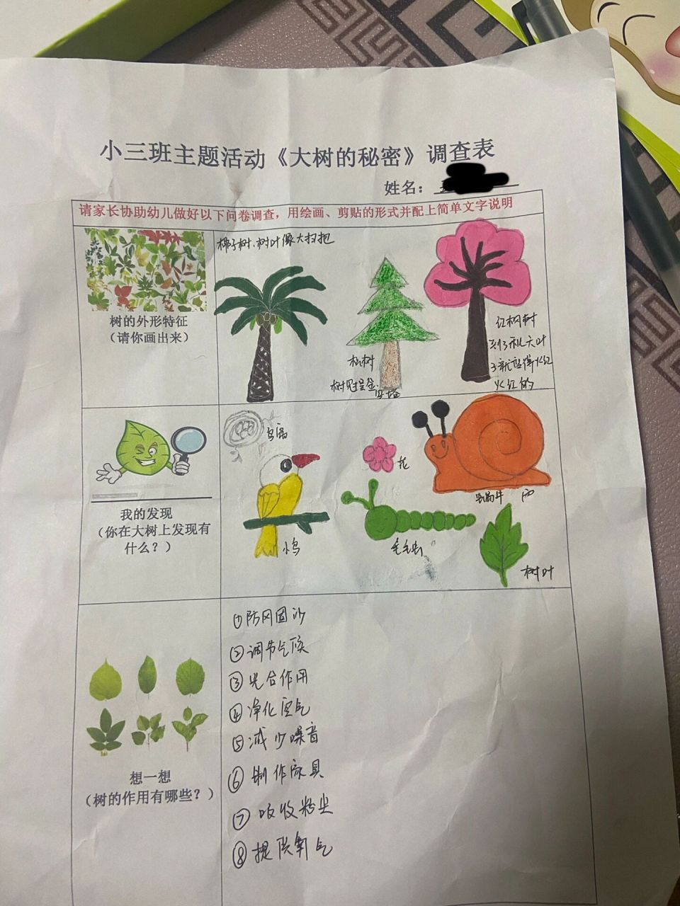 幼儿园大树调查表范本图片