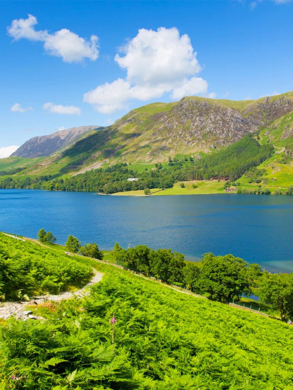 英国出发7日游96圣诞假期|人均8k嗨到爽 9297英国的节日氛围