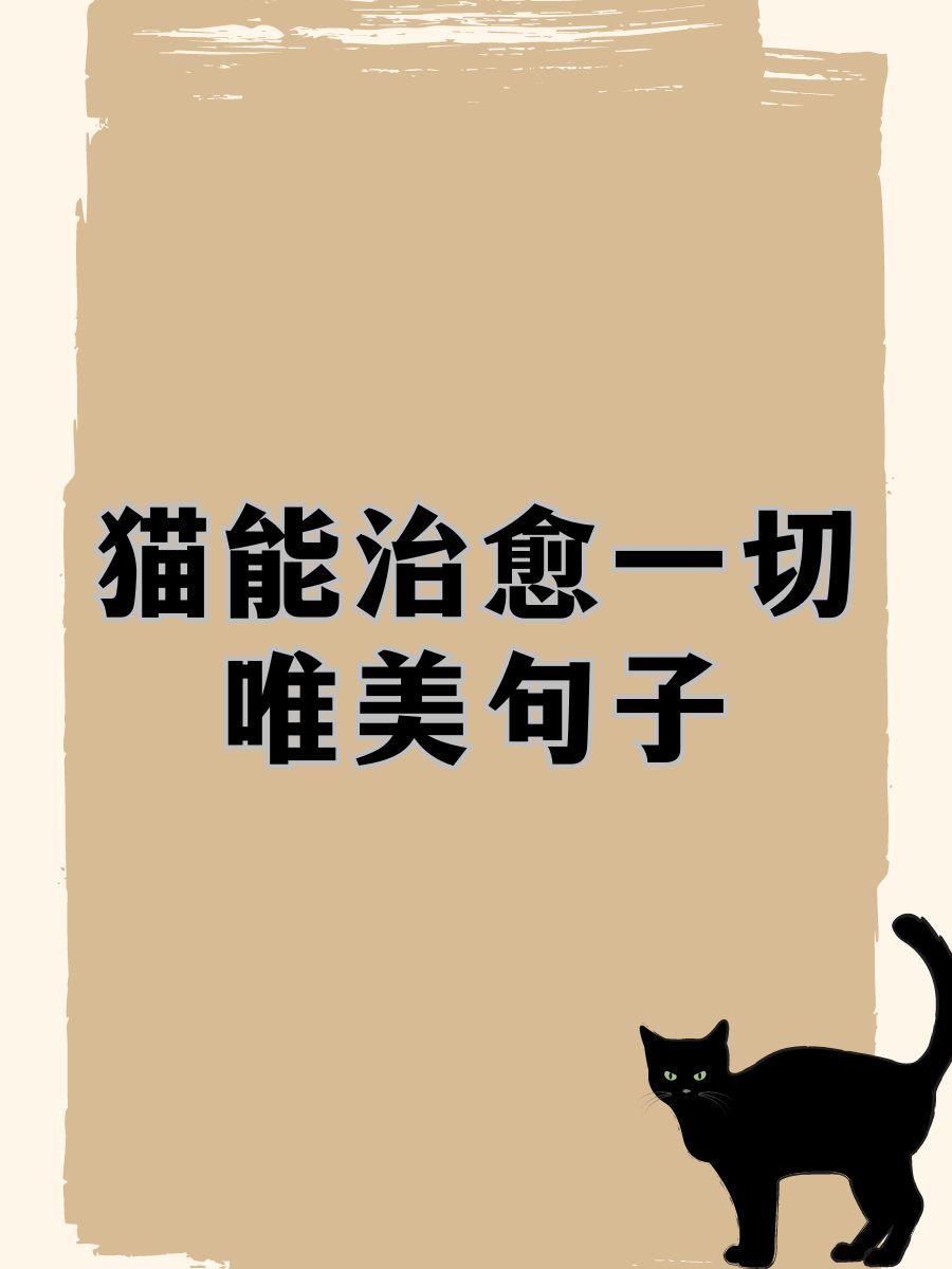 猫咪图片 唯美文字图片