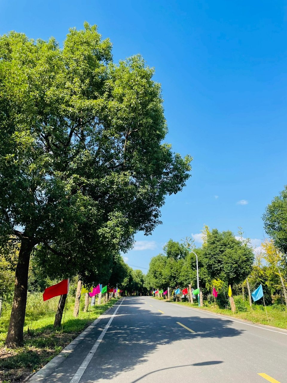 亲子户外之南京万成生态园 南京万成生态园坐落于浦口区星甸街道高庙