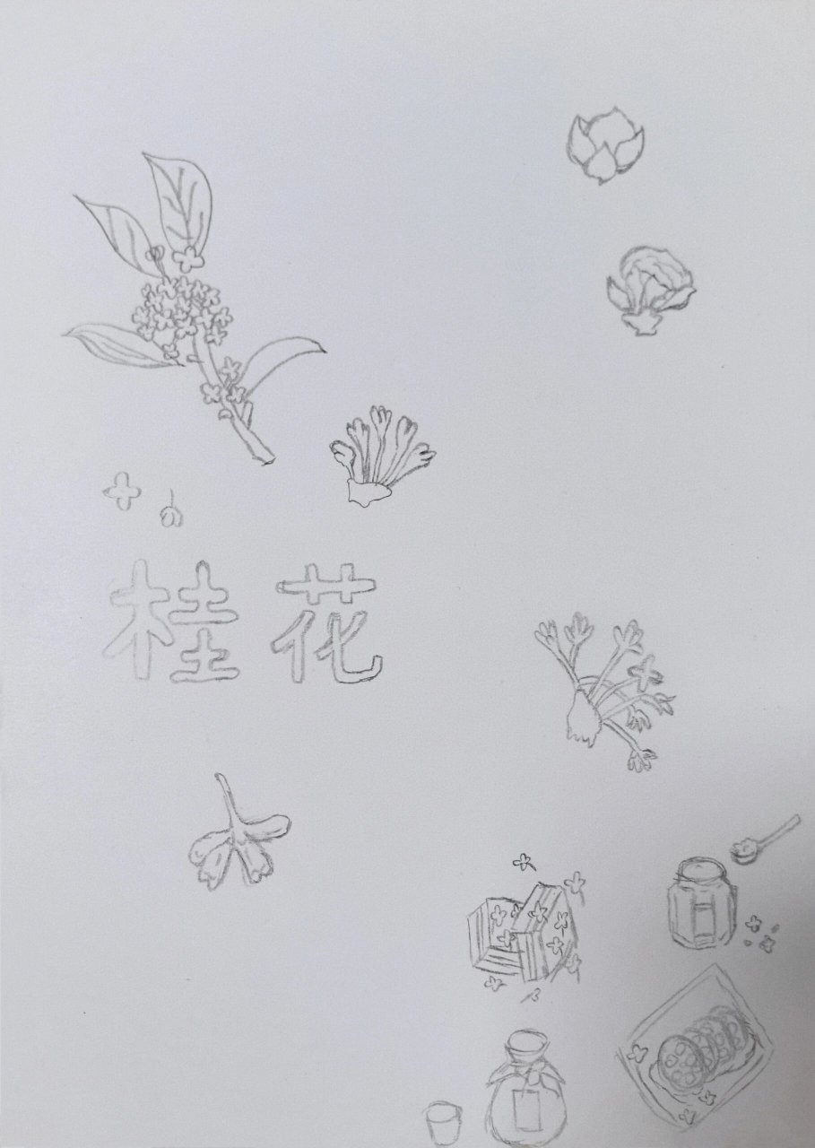 桂花植物卡片制作图片