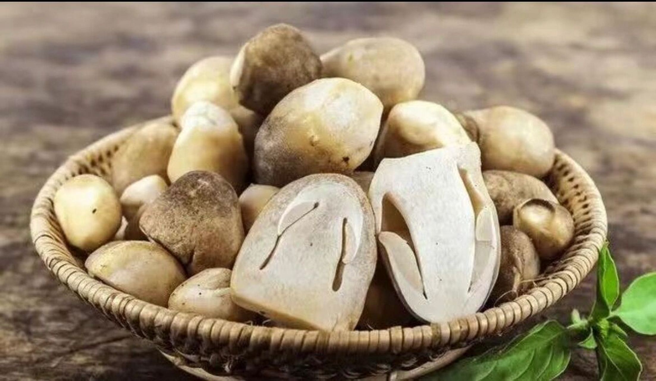 武陵山珍|蚝油草菇的做法 草菇又名兰花菇,口感紧实有弹性,富含多种