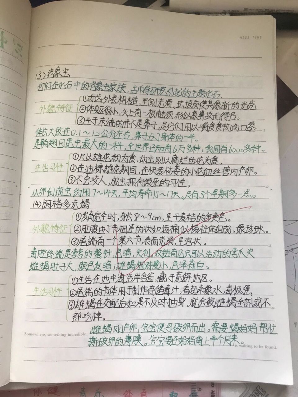 昆虫记读书笔记08(5) 今天写的是粪金龟,隧蜂93,老象虫和朗格多克