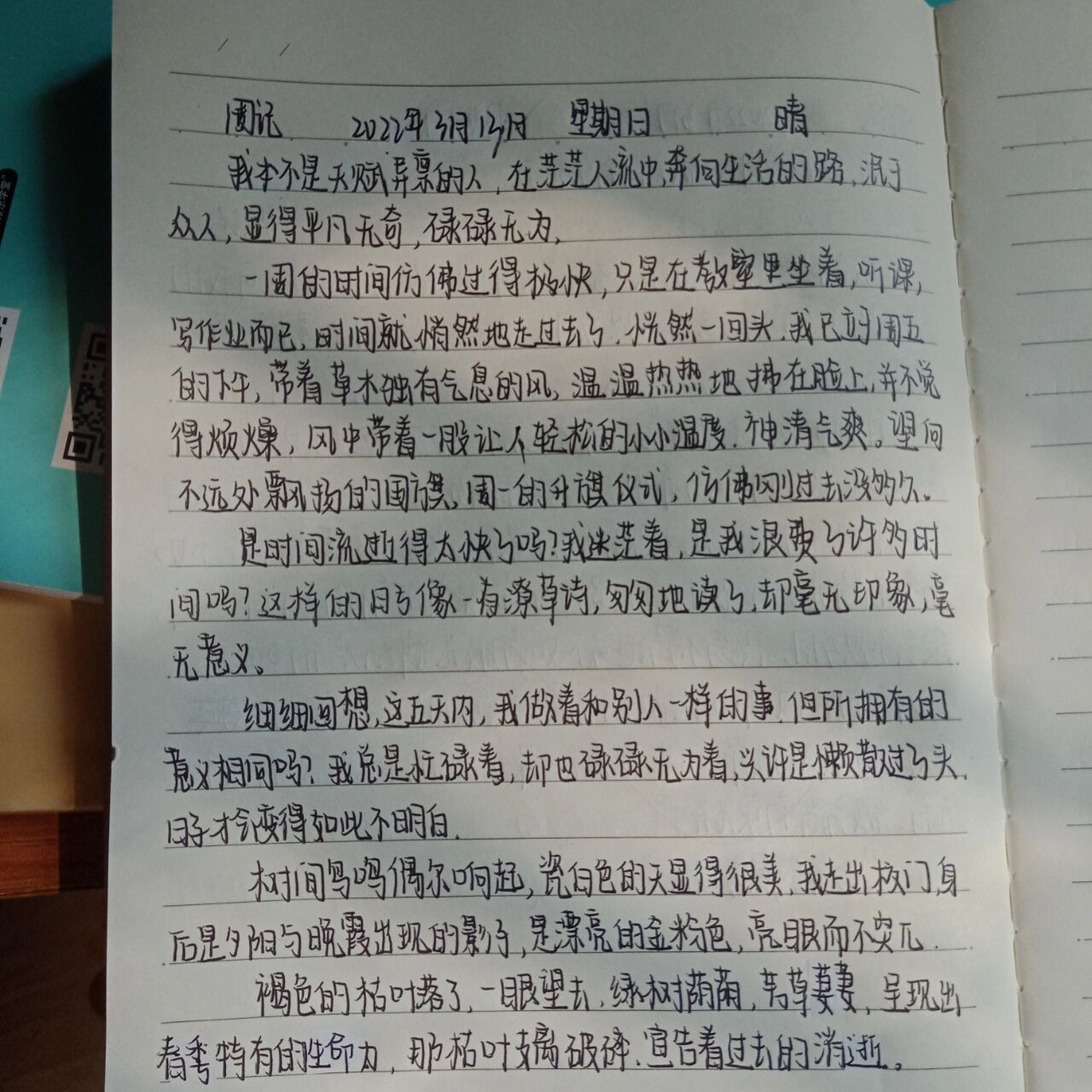 周记 初二 抄写自