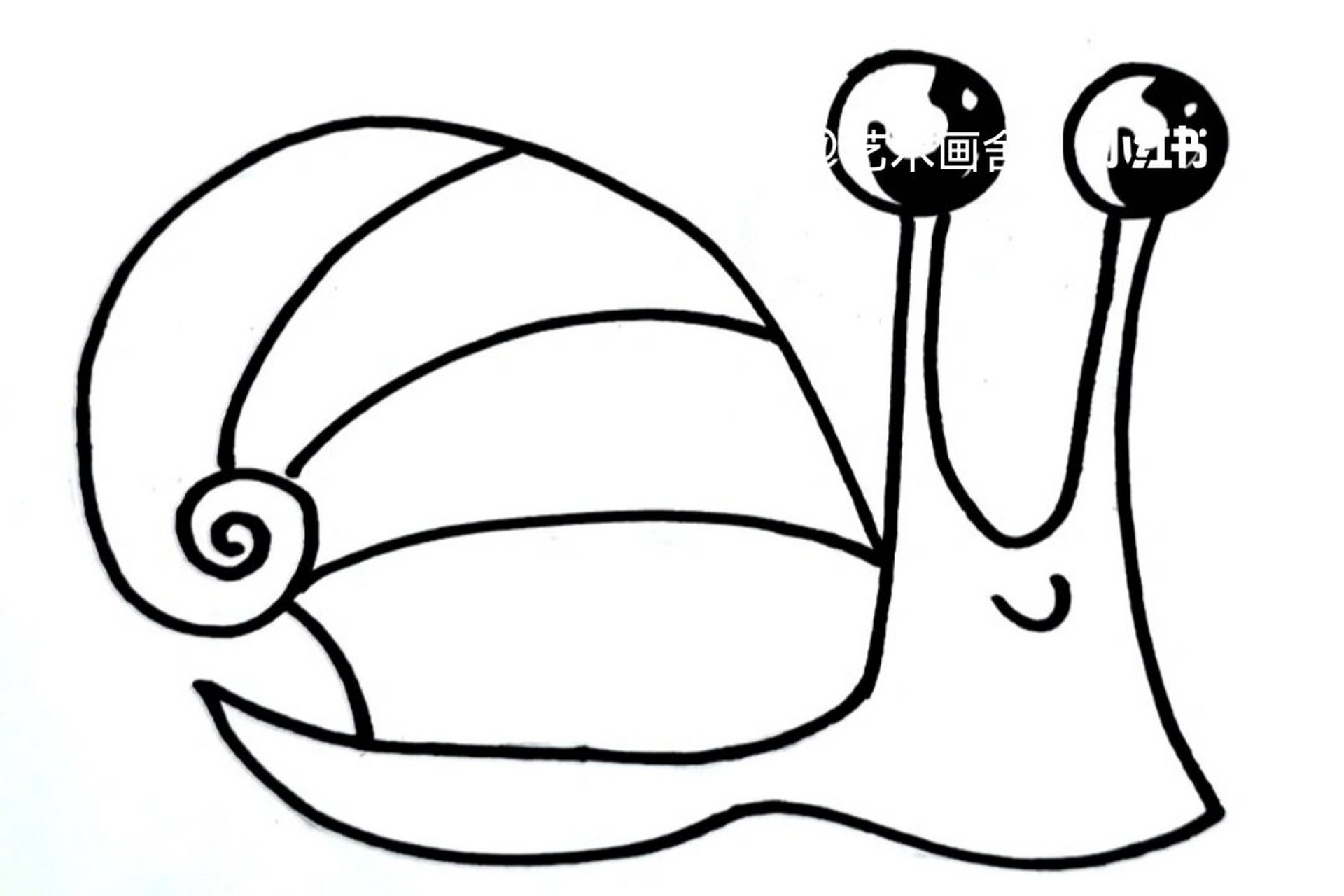 蜗牛简笔画 爬行图片