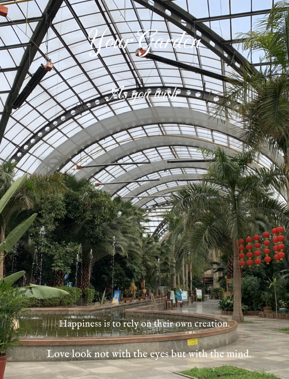 天津游玩推荐:热带植物园 植物园不算太大,一个小时就能转完,热带植物