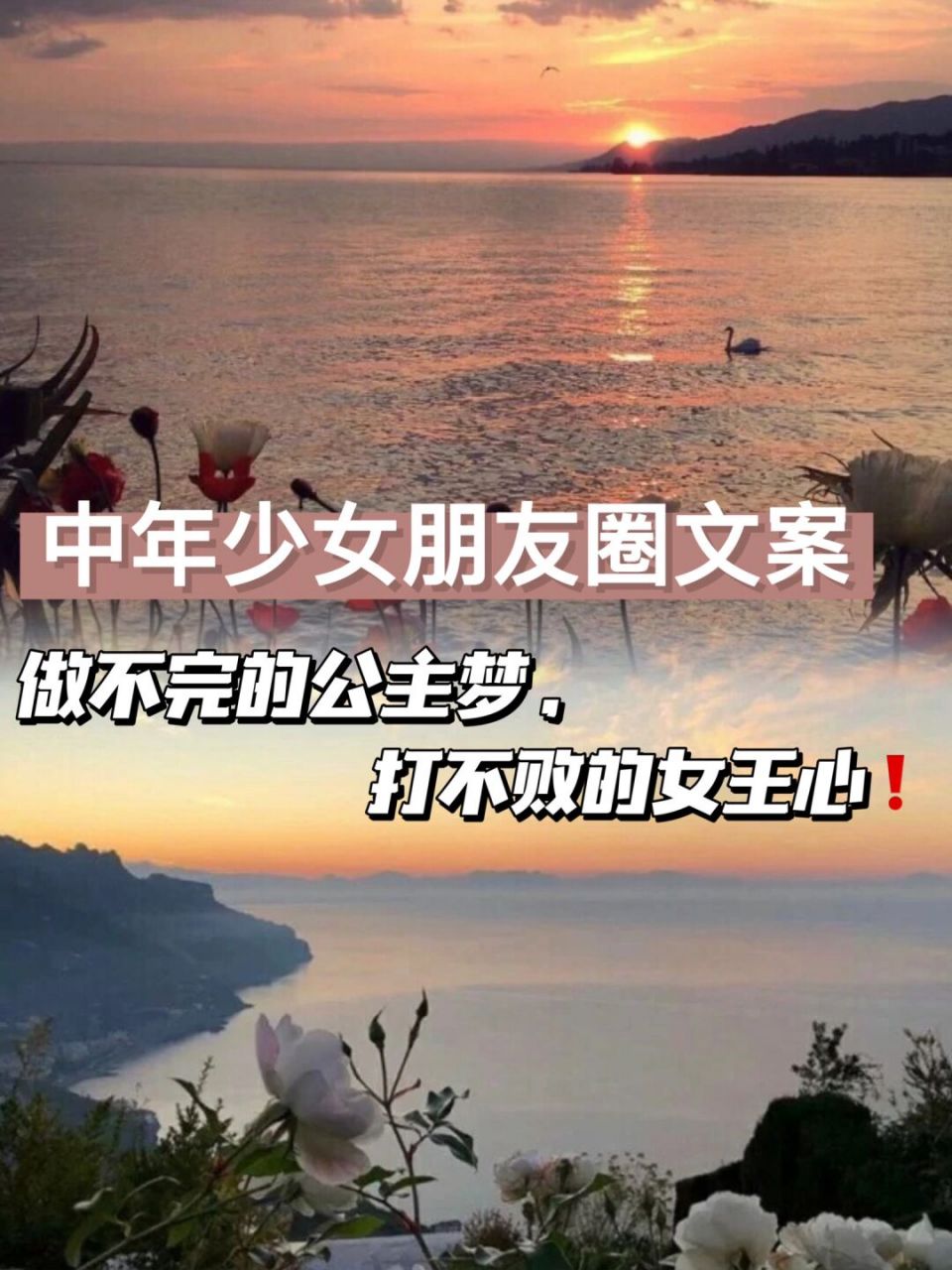 做不完的公主梦,打不败的女王心75 #好句摘抄分享# #文案# #公主