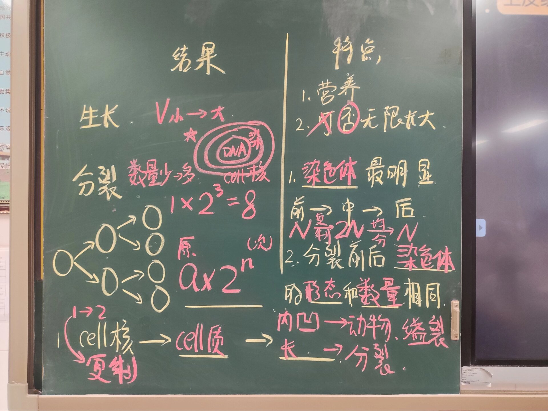 表里的生物板书设计图图片