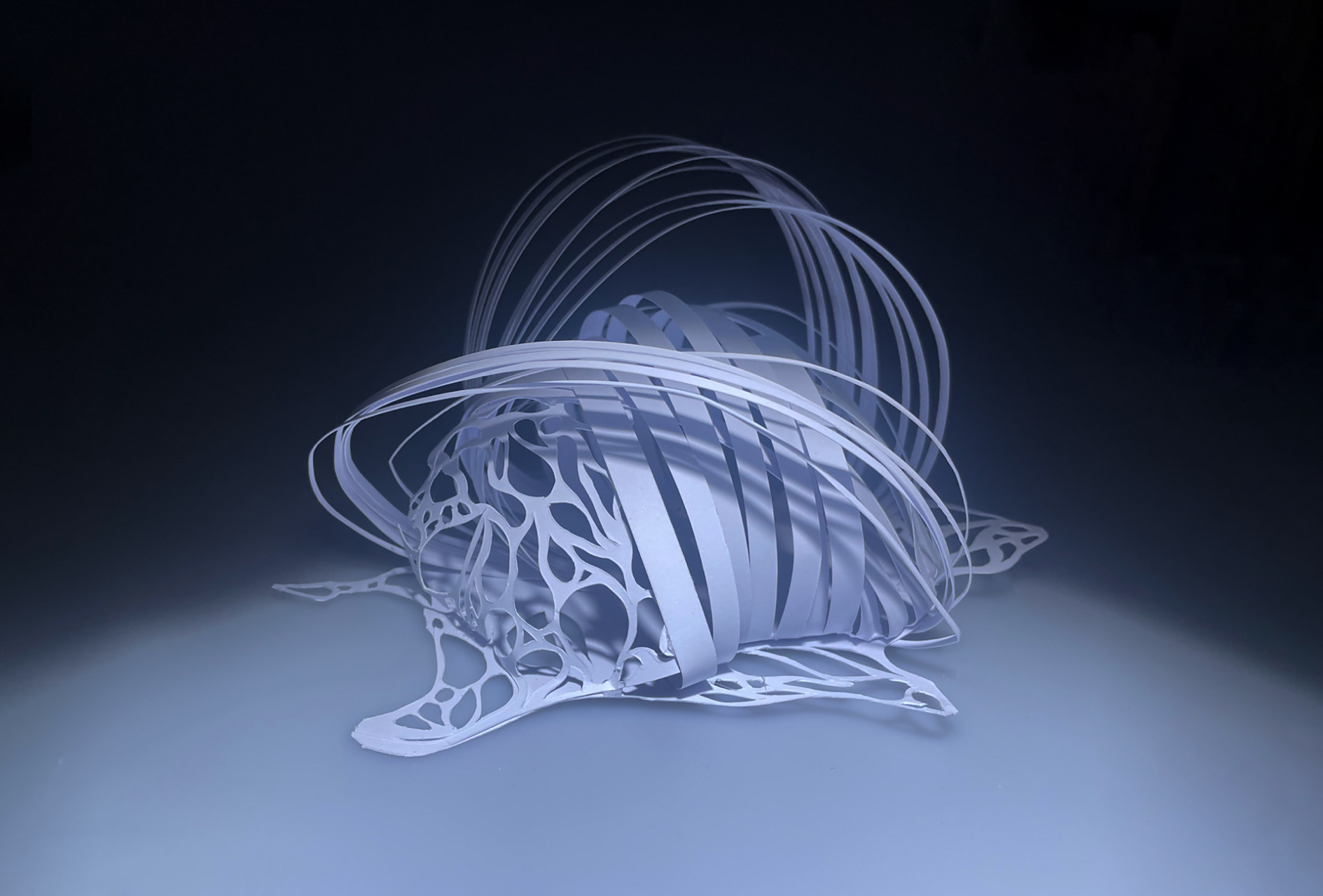 央美大一立体构成作业