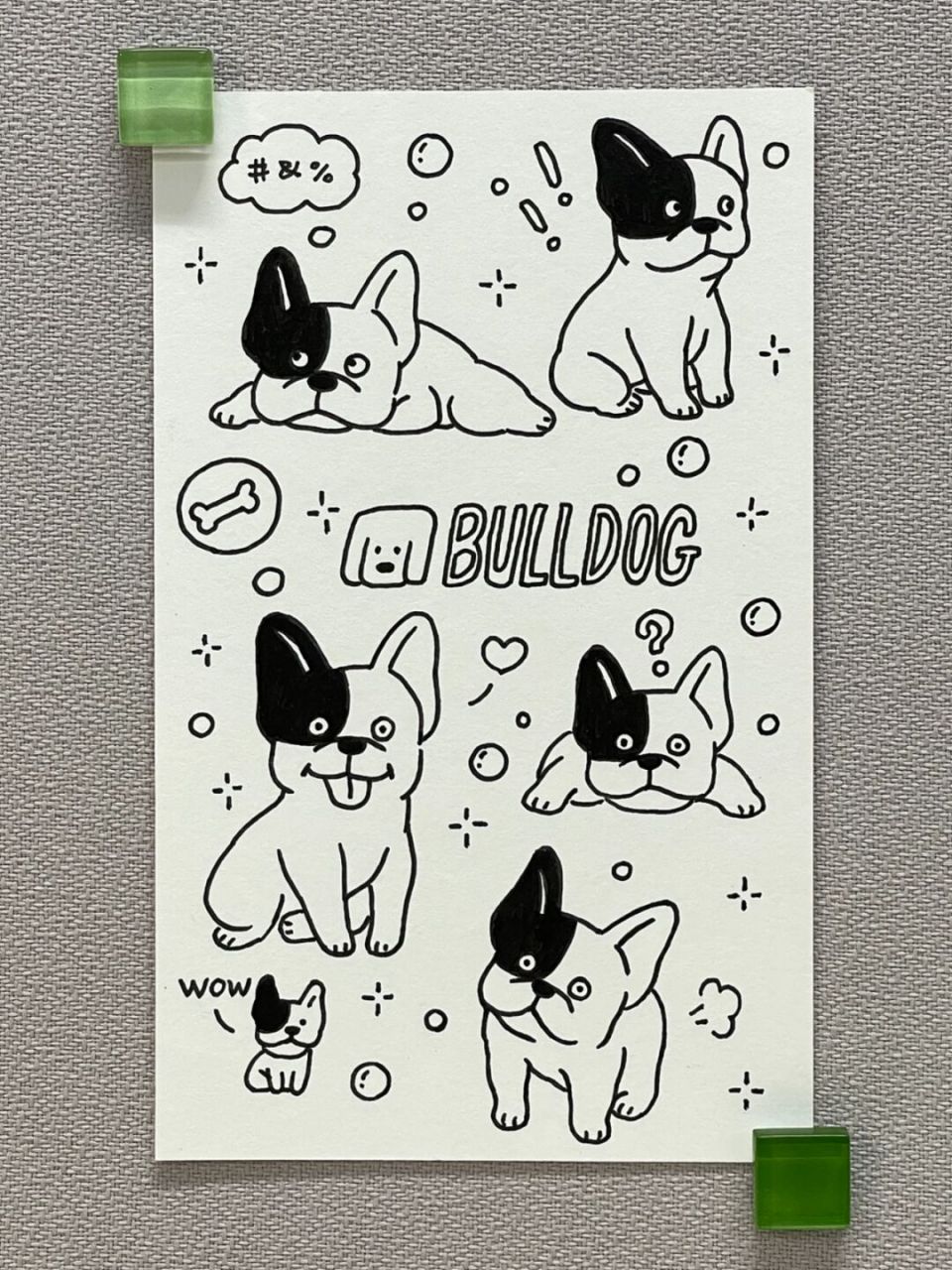 98狗狗简笔画100-17|斗牛犬 狗狗简笔画第17弹[期待]今天是"小怨种"