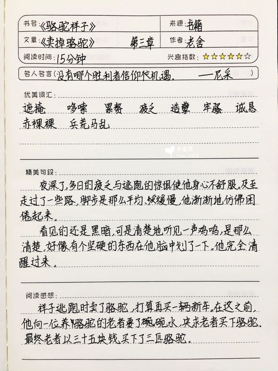 《骆驼祥子》读书笔记 第三章 卖掉骆驼 七年级下册必读