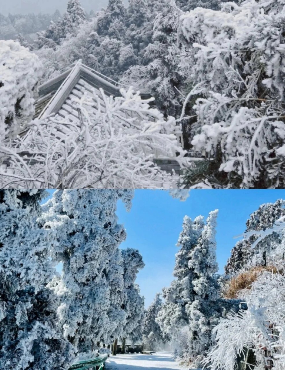 冰雪画廊图片图片