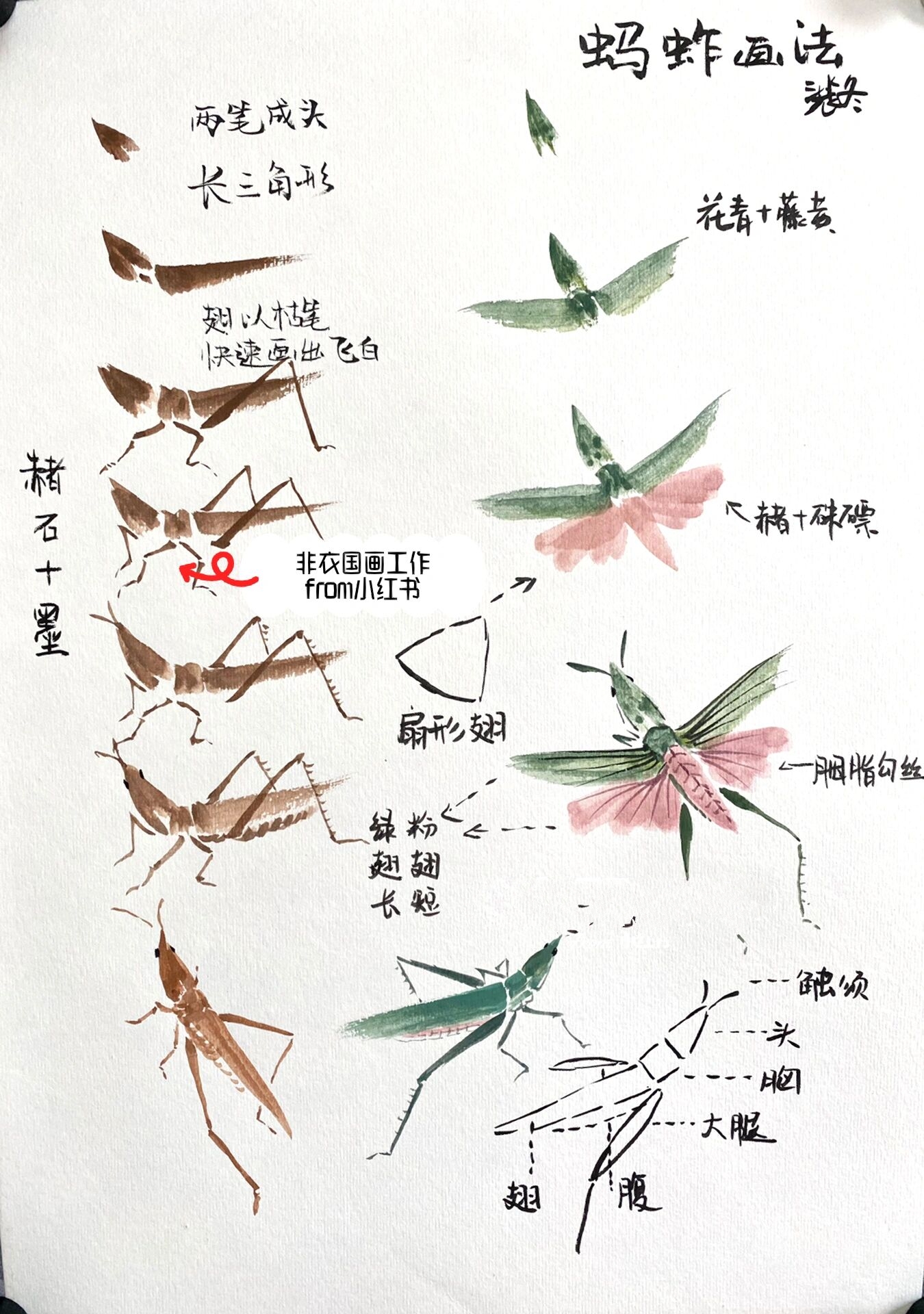 《从零开始》国画写意篇