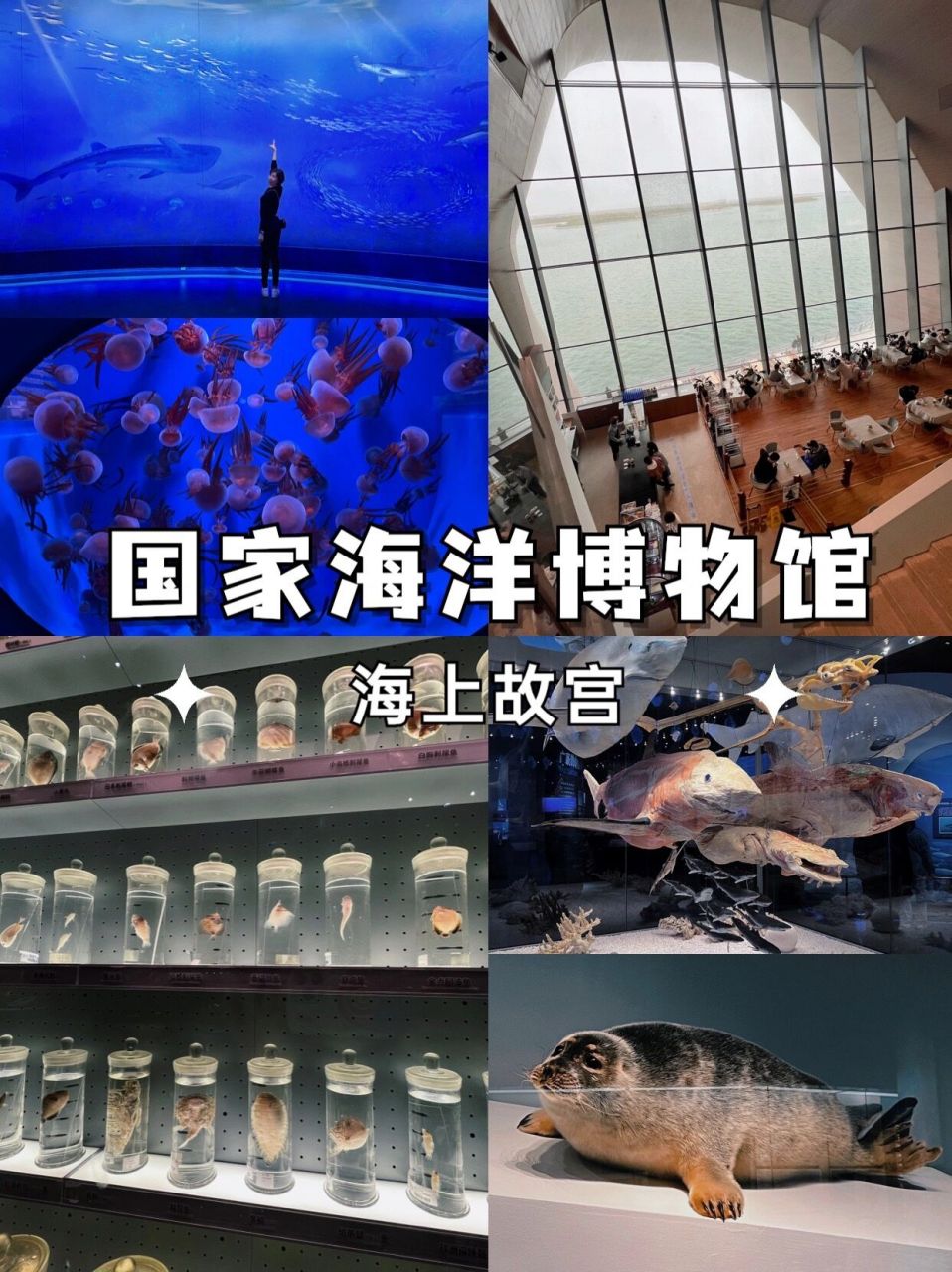 天津|国家海洋博物馆 浪漫 知识 必打卡 国家海洋博物馆,是中国有史