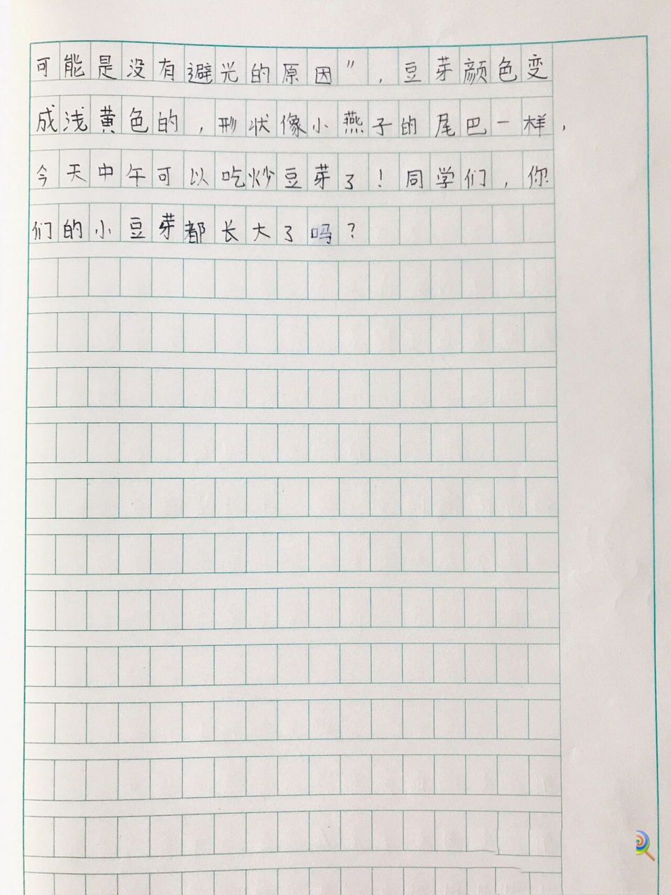 豆子观察日记四年级(豆子观察日记四年级上册)