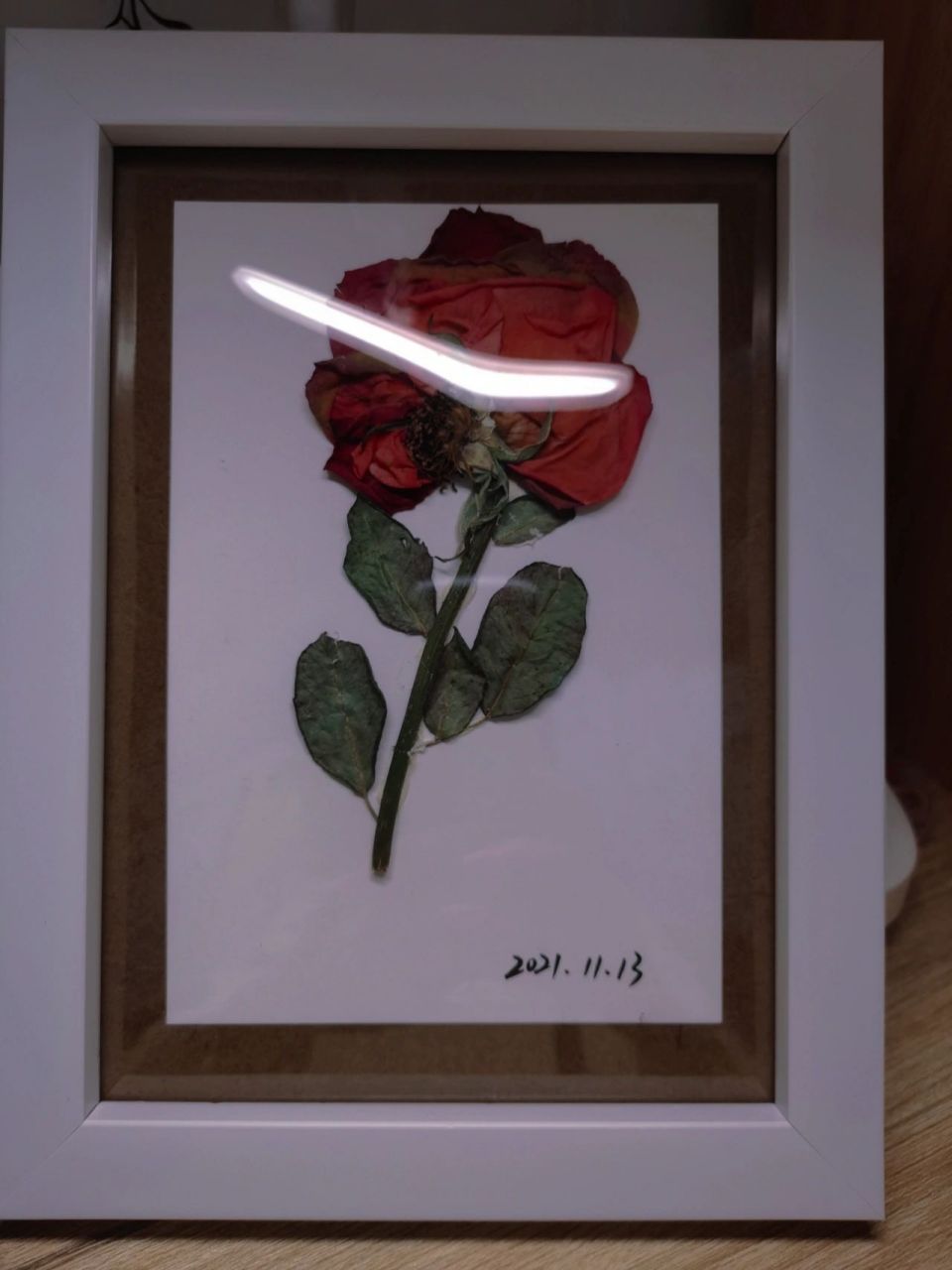 自制玫瑰标本 自制玫瑰标本