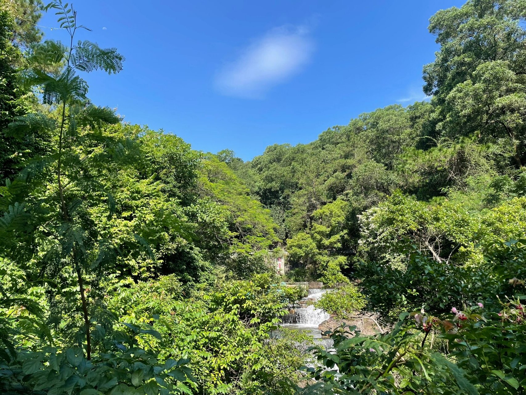 花都芙蓉山风景区图片