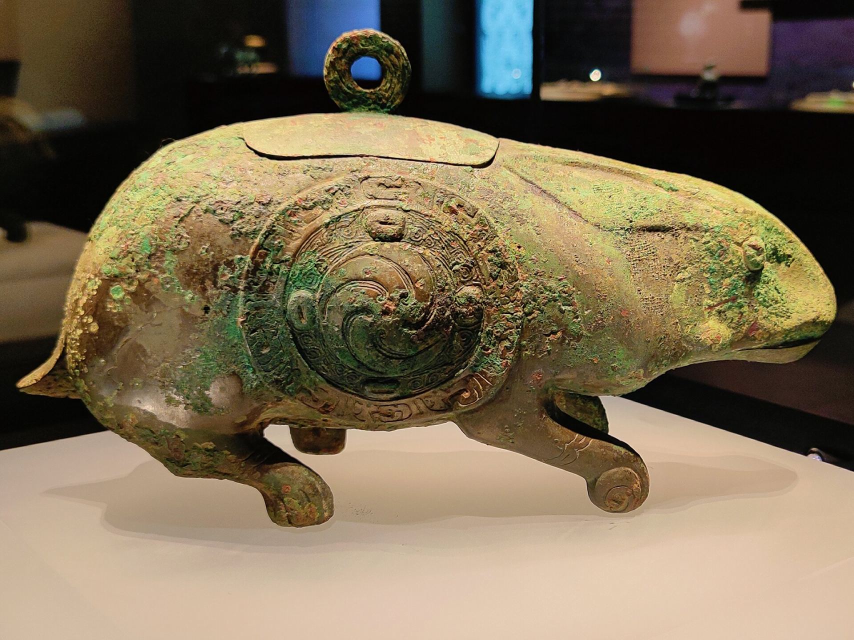 山西青铜博物馆·兔尊 【兔尊】 	 西周(公元前1046年一前771年),曲沃