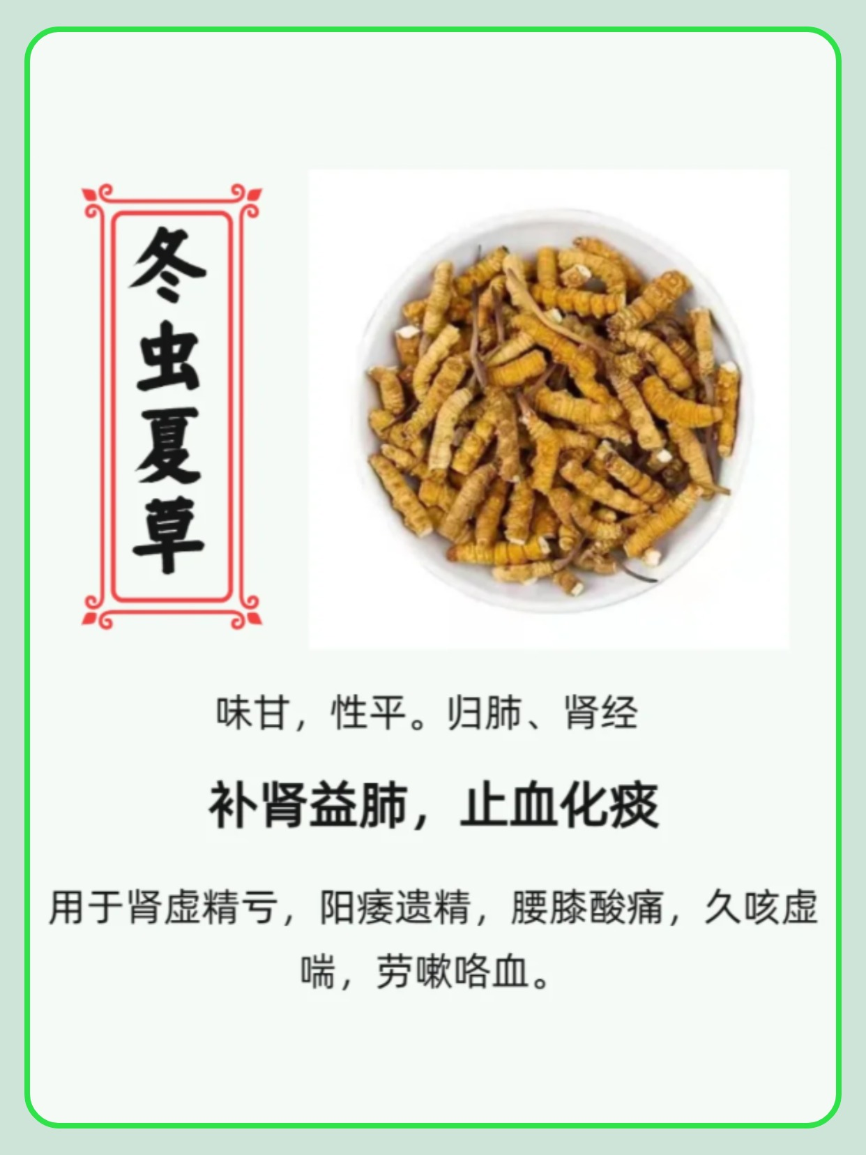 北冬虫夏草是什么? 				