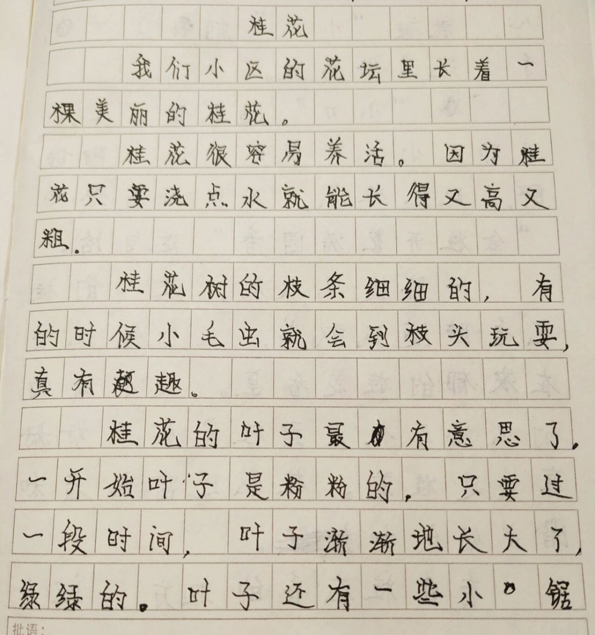 植物作文50字图片