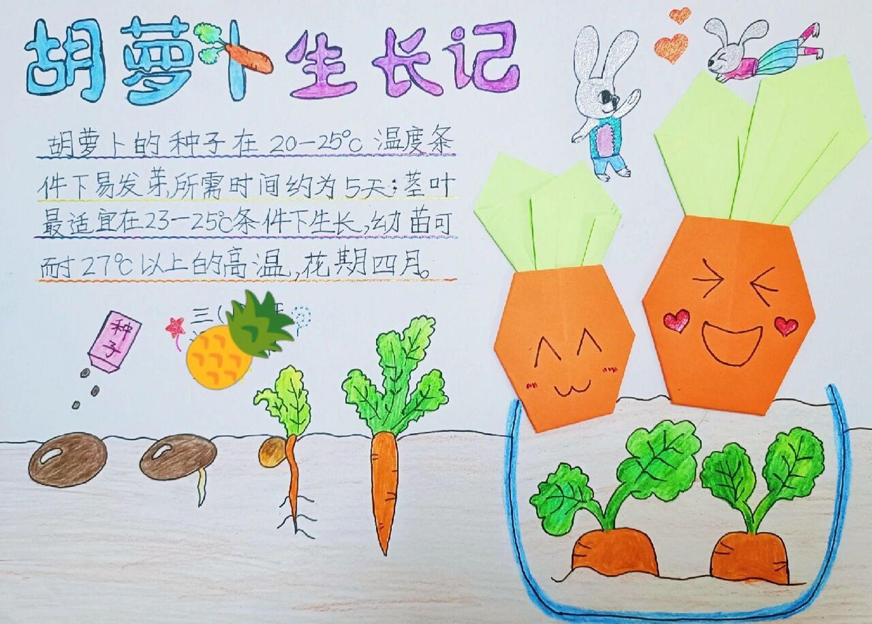 胡萝卜折纸教程图片
